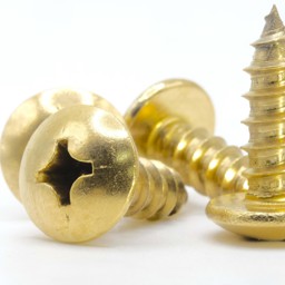 Photo of License Plate Screws for 24k gold plated All Models