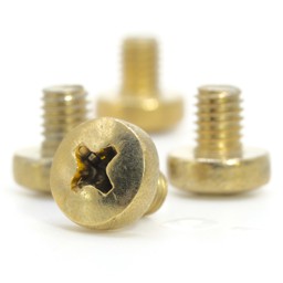 Photo of License Plate Screws for 24k gold plated All TESLA Models